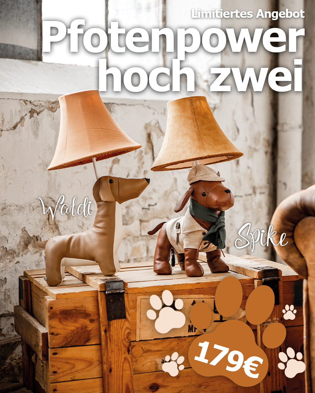 Pfotenpower hoch zwei! Spike und Waldi im Doppelpack kaufen